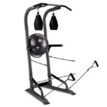 BodyCraft T3 Total Training Tower