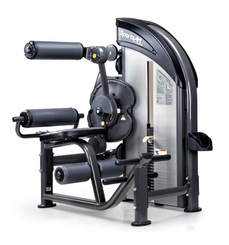 SportsArt DF206 Back Extension/Ab Crunch