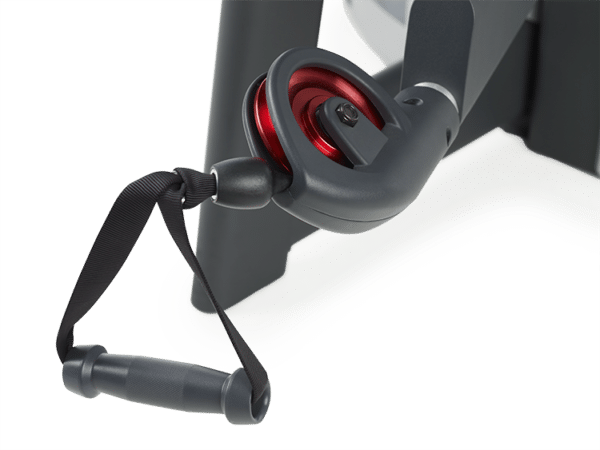 Freemotion Fitness Genesis DS Ab/Bicep F501