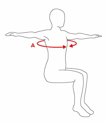 How to measure PhysioGait Harness Sizes