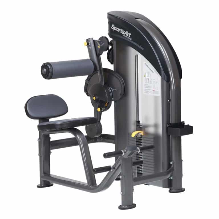 SportsArt P732 Back Extension