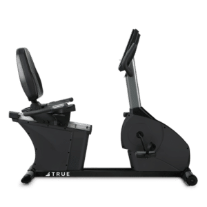 TRUE Fitness 200 Recumbent Bike
