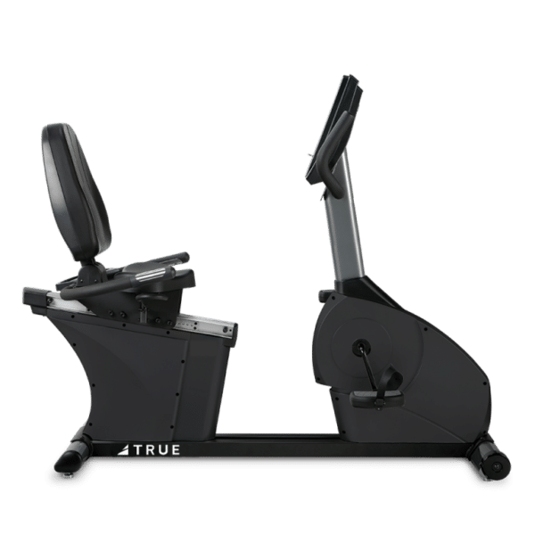 TRUE Fitness 200 Recumbent Bike