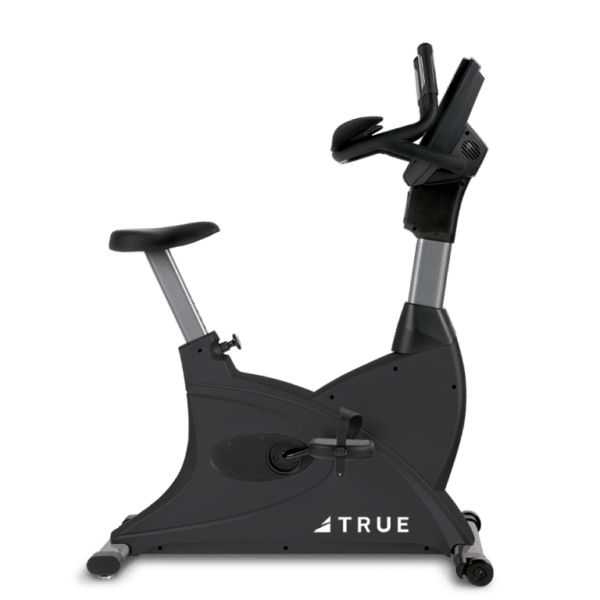 TRUE Fitness 200 Upright Bike