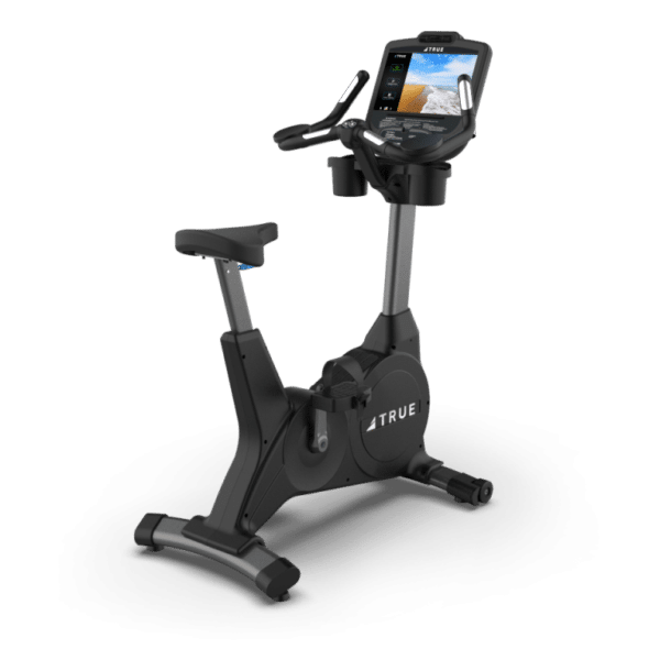 TRUE Fitness 900 Upright Bike