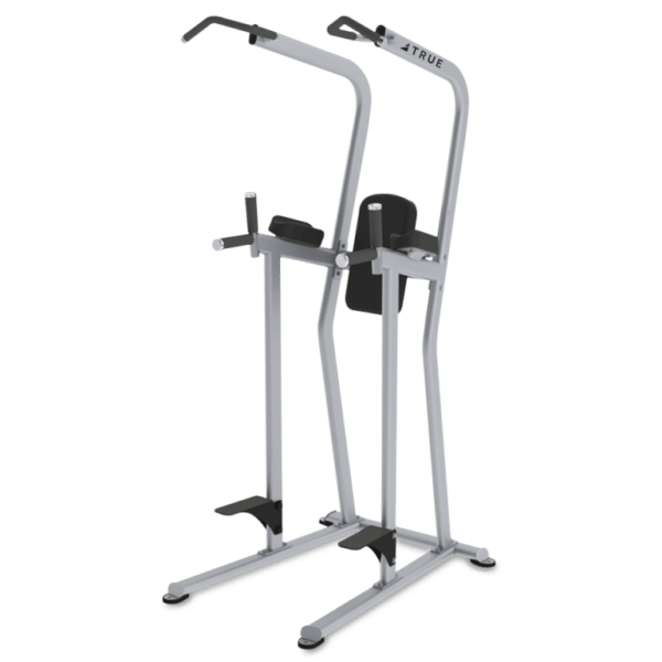 TRUE Fitness Paramount FS-23 Knee Raise Dip Chin Station