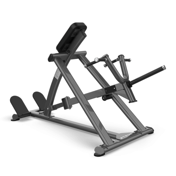 TRUE Fitness Paramount XFW-5500 Lever Row