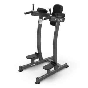TRUE Fitness Paramount XFW-6400 Vertical Knee Raise Dip