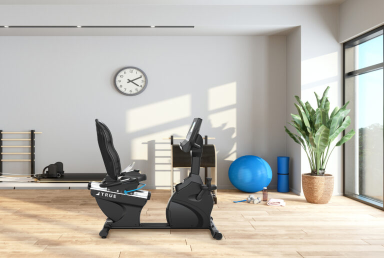 TRUE Fitness Performance Series Recumbent Bike - 8.5" LCD - Image 4