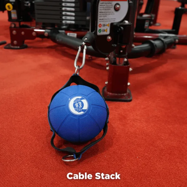 Abs Company Ab Ball System