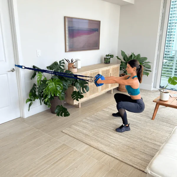 Abs Company Ab Ball System