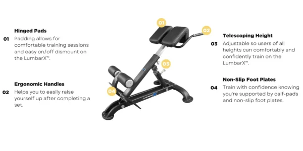 Abs Company Lumbar X