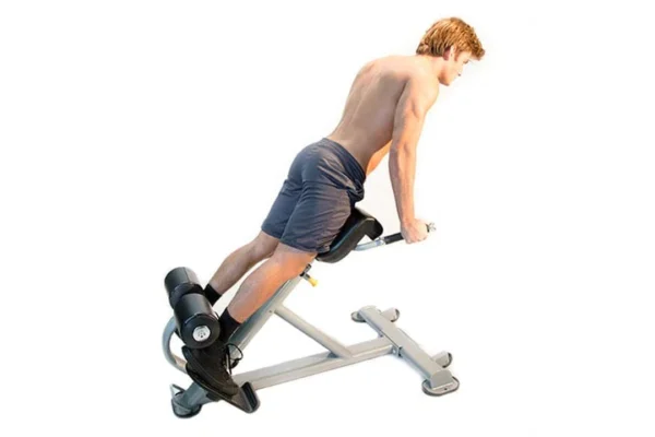 Abs Company Lumbar X